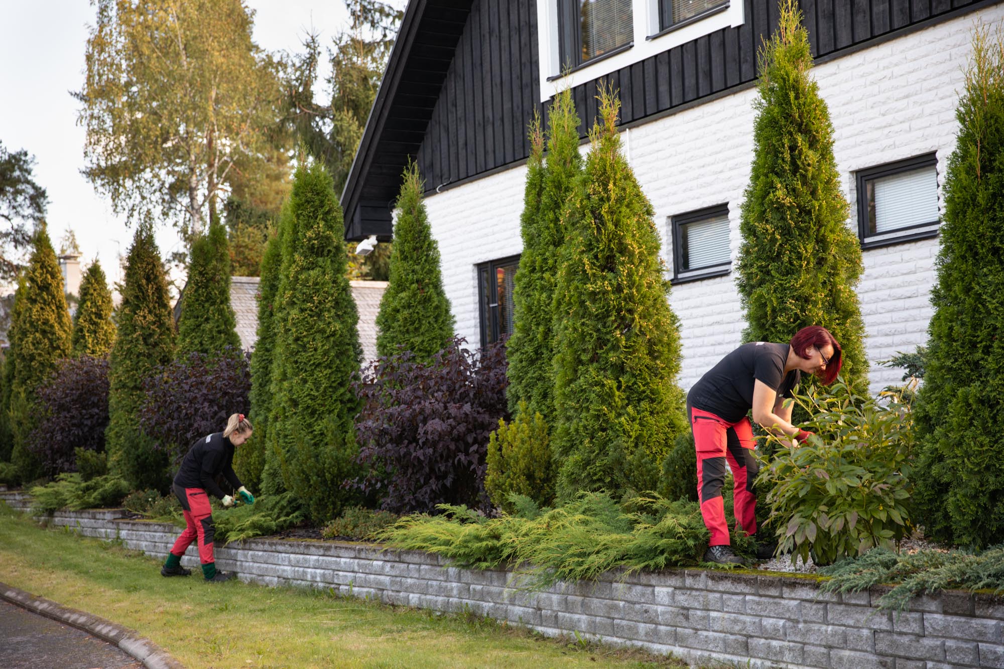 PihanTekijät rekrytoi puutarhuri Pihantekijät