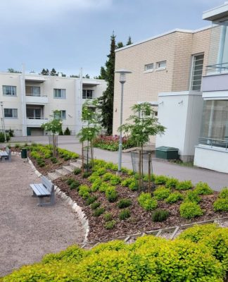 Pihan kunnostus Tatartiellä Espoossa